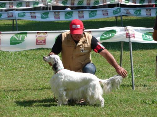 proclamazione x la gingerina in raduno di razza a matera