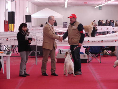 In quel di ragusa in expo internazionale